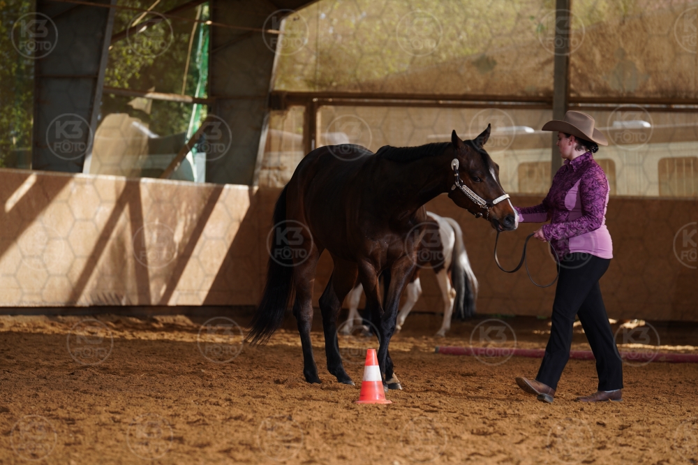 s_A9_00770.jpg
